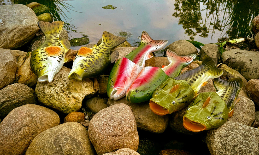 Freshwater Fish