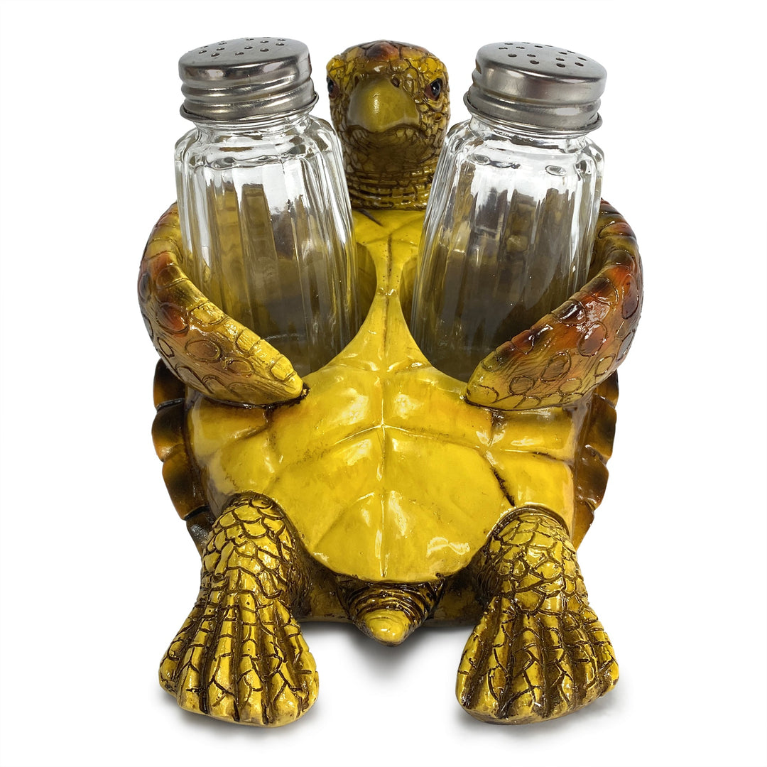 Turtle Shell Shakes Salt Shakers - Sea Turtle Set for Stylish Dining – Rivers Edge Products