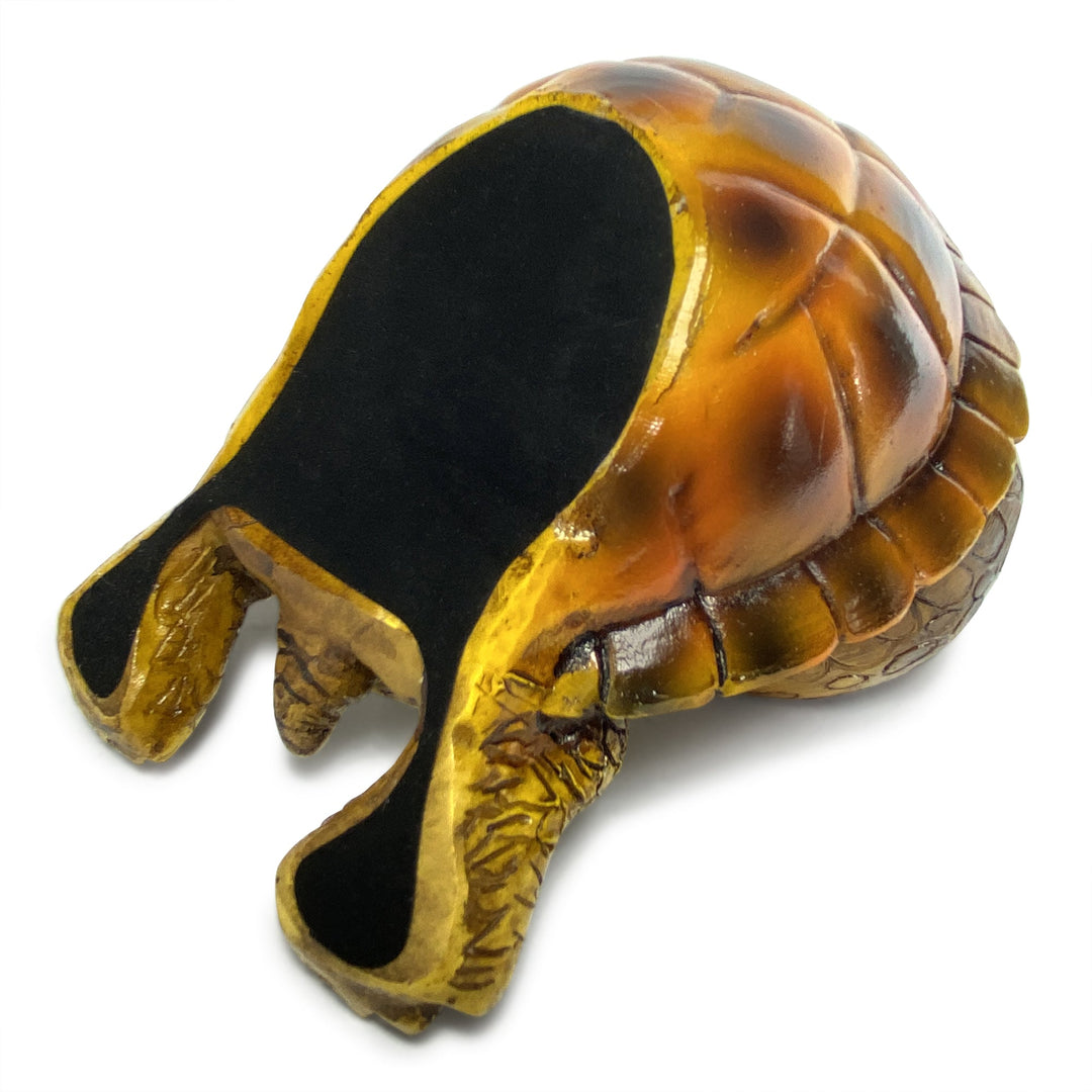 Turtle Shell Shakes Salt Shakers - Sea Turtle Set for Stylish Dining – Rivers Edge Products