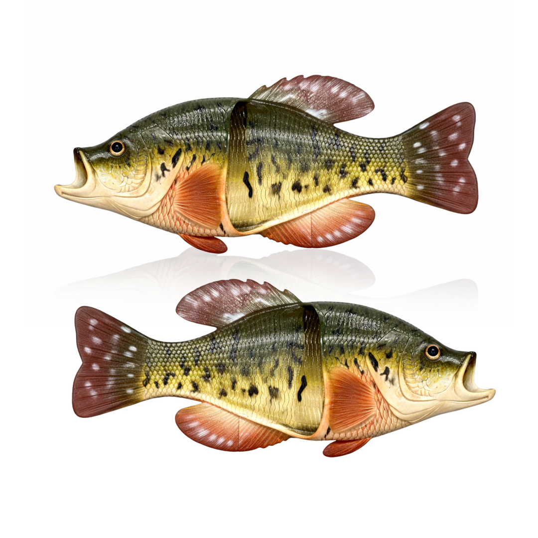 Largemouth Bass Sandals Fish Slippers Academy Rivers Edge Fish Flip Flops Academy Healthcare Academy Fish Largemouth Bass Sandals Fish Slippers Academy Rivers Edge Fish Flip Flops Academy Healthcare Academy Fish