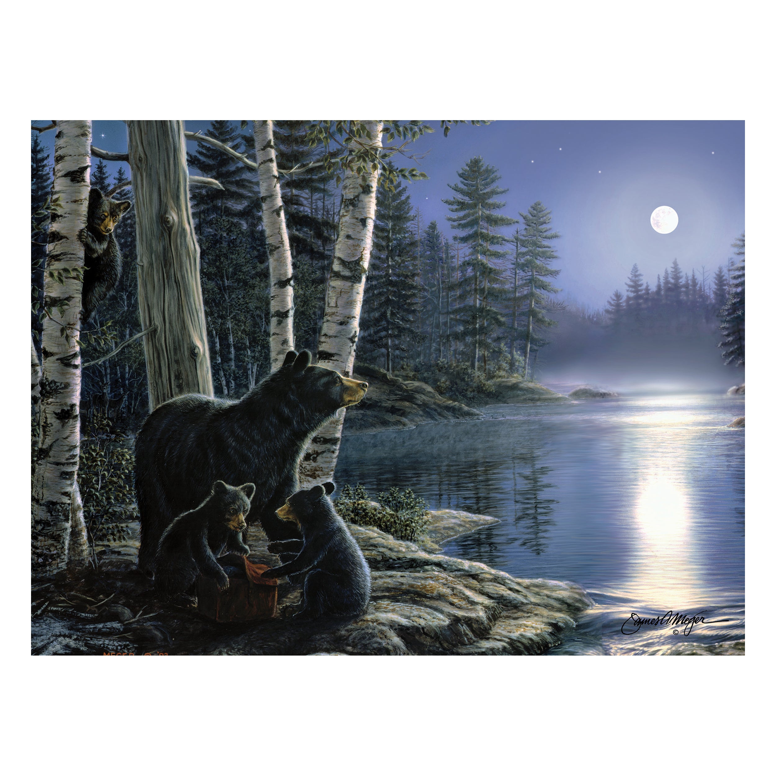 Rivers Edge LED Wall Art Crescent Moon, Size 24 x 16