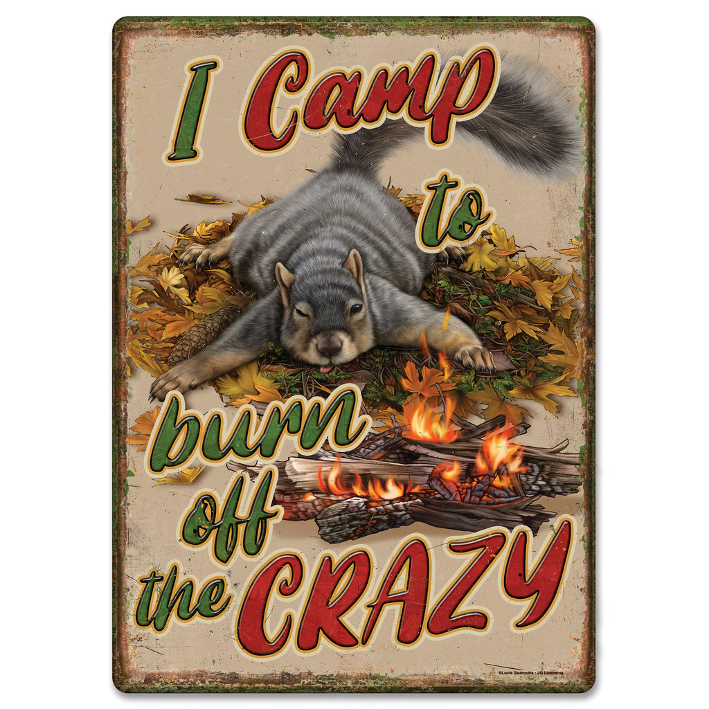 Metal Tin Signs, Funny, Vintage, Personalized 12-Inch x 17-Inch - Burn Crazy