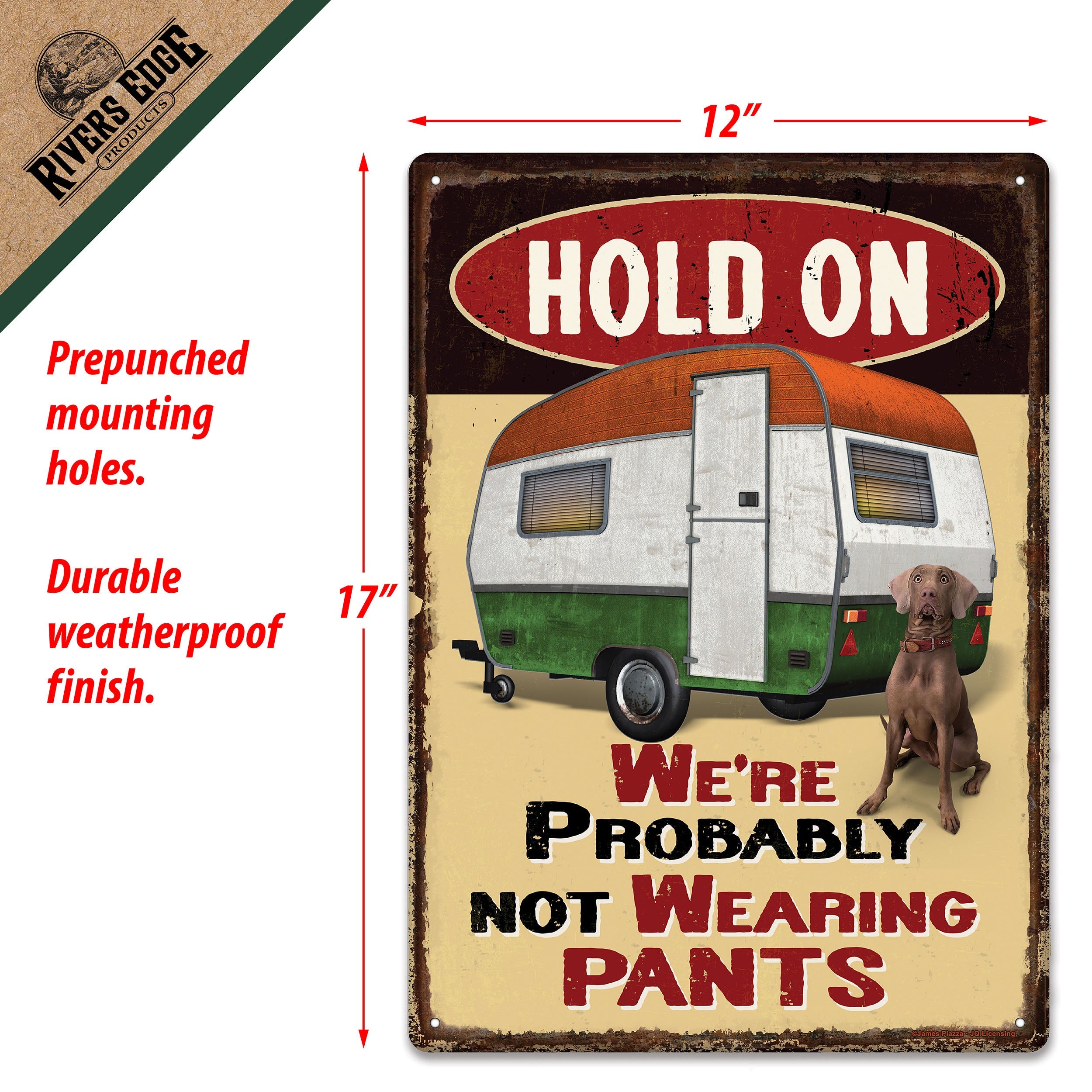 Metal Tin Signs Funny Vintage Personalized 12 Inch X 17 Inch Pants 7675