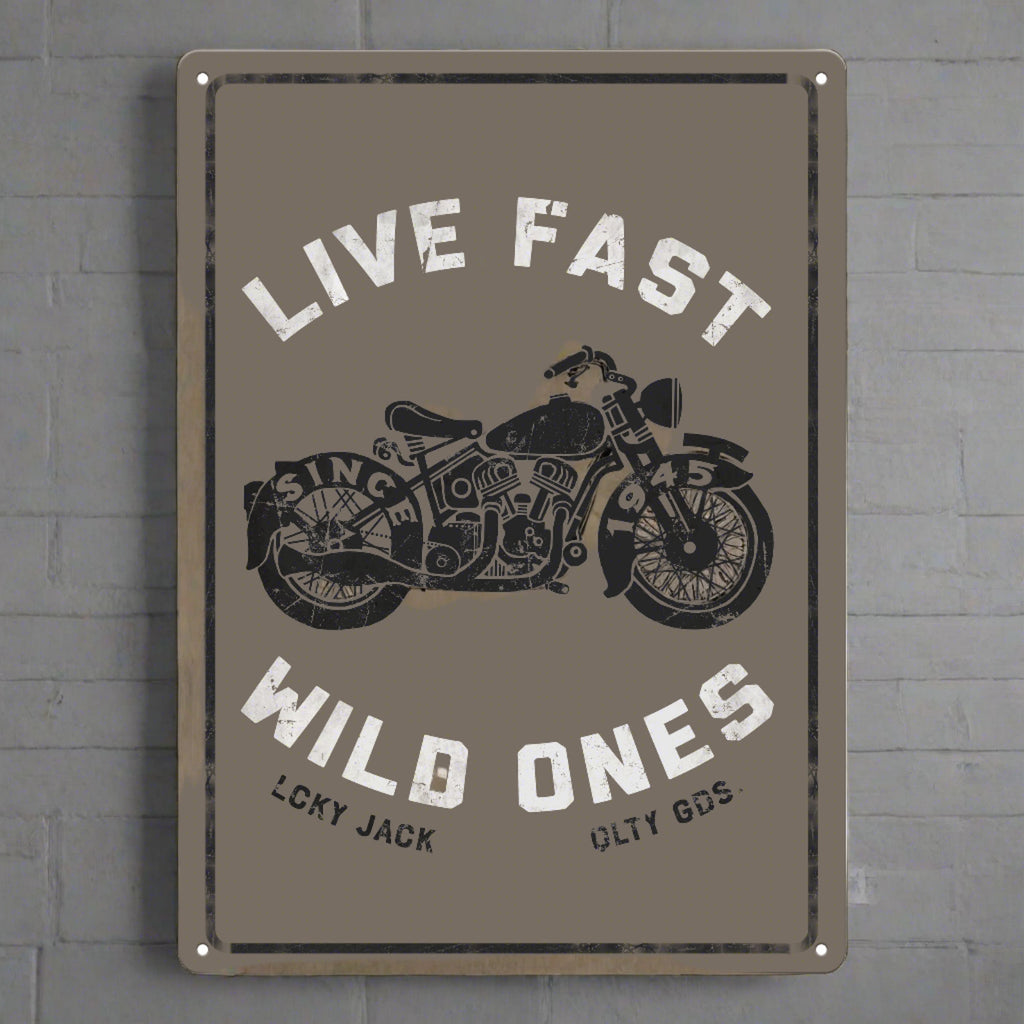 Metal Tin Signs, Funny, Vintage, Personalized 12-Inch x 17-Inch - Live Fast Wild Ones