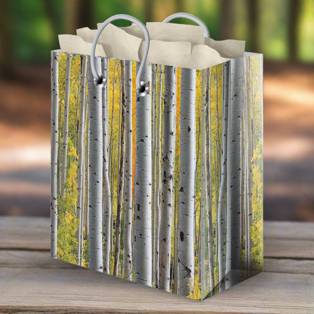 Gift Bag Large With Tissue Paper Birch Minimum Of 12