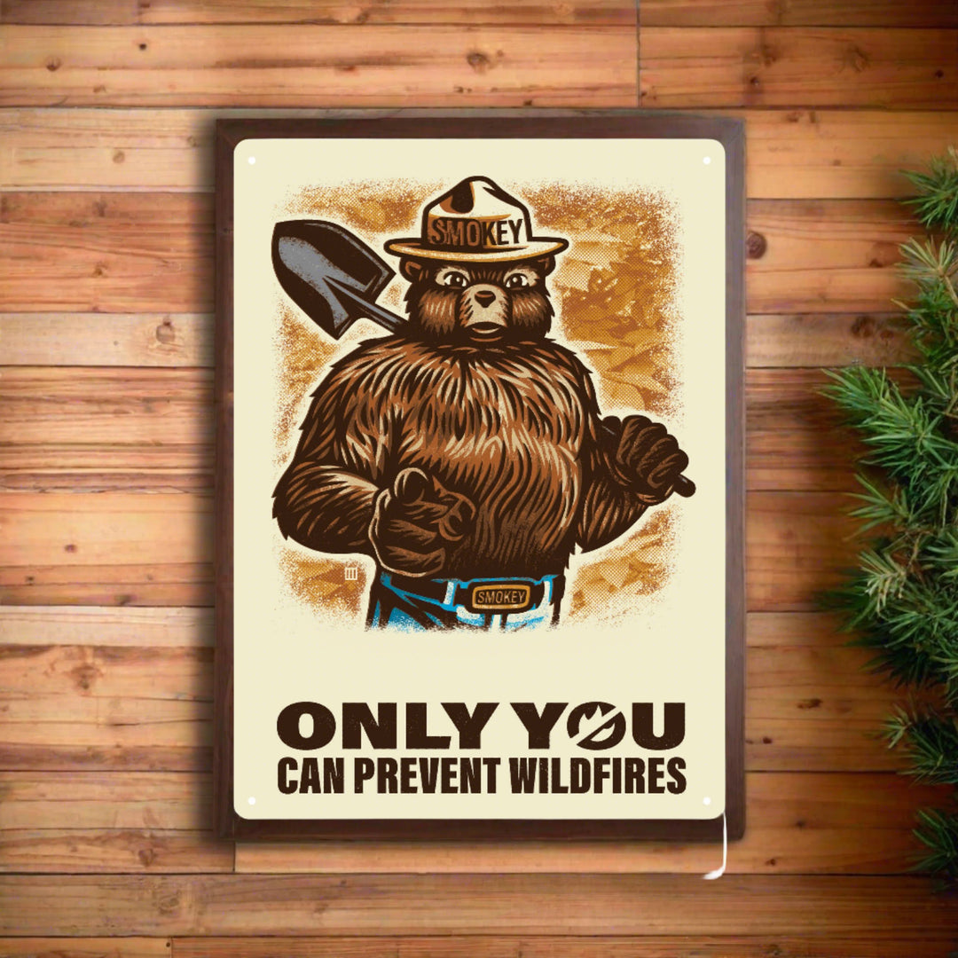 Metal Tin Signs Funny Vintage Personalized 12 Inch X 17 Inch Only You Can Prevent Wildfires